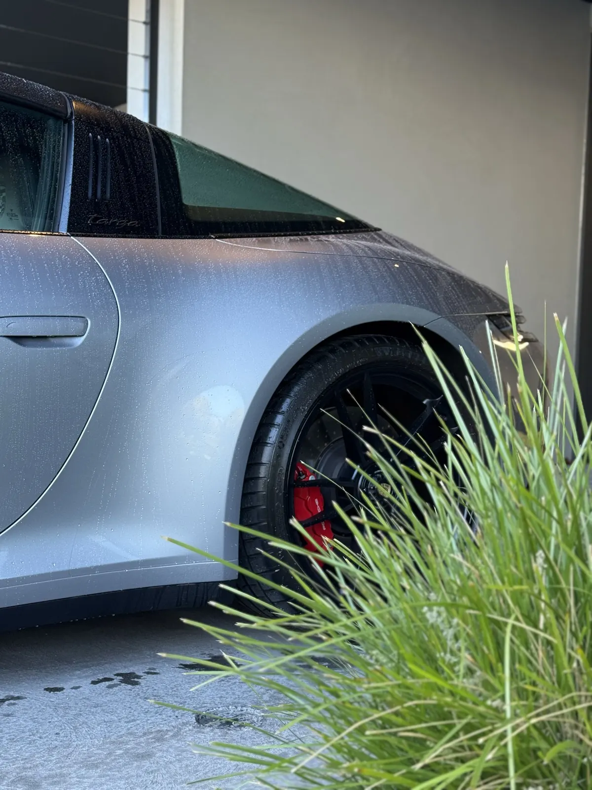 Porsche 911 Targa fender and red caliper framed by garden foliage